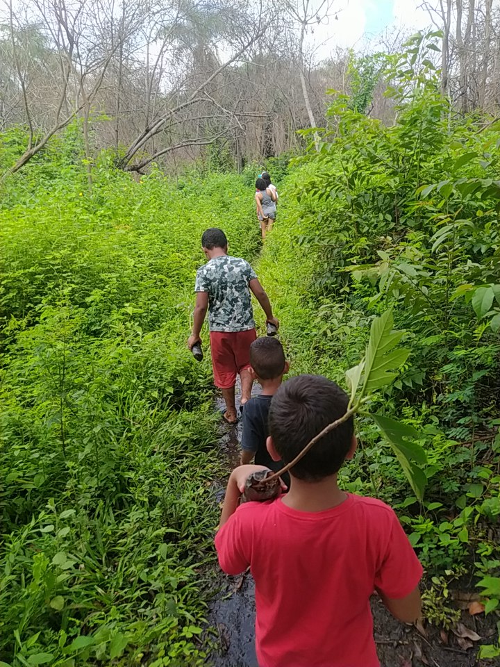 carrapatocultural.com 